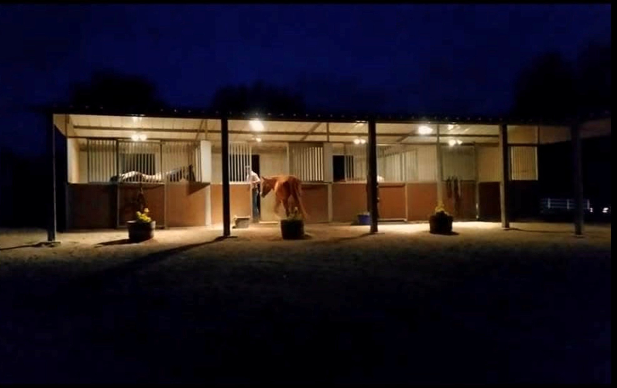 Barn lit up at night with horses