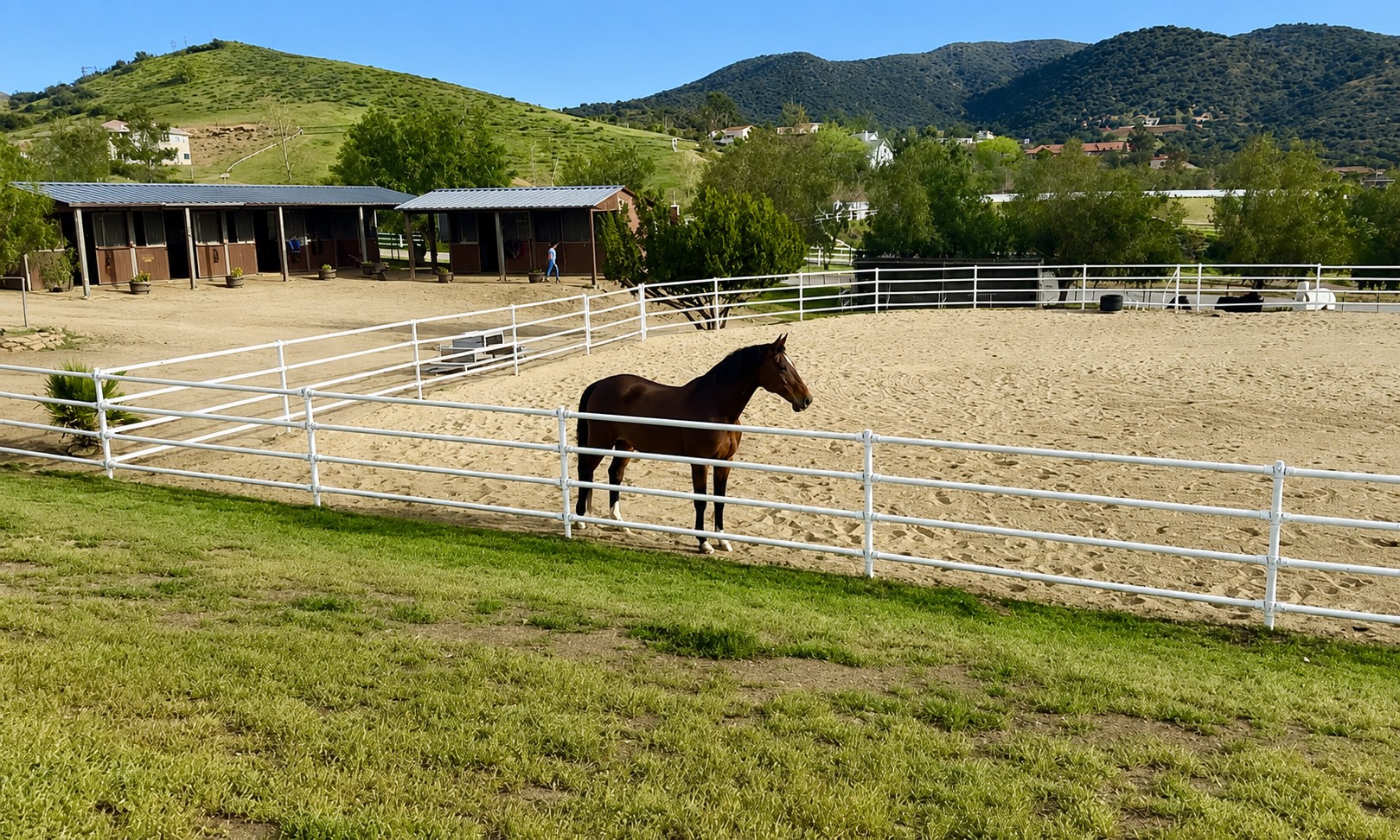 Roueché Equine Retirement Ranch in Agua Dulce, California